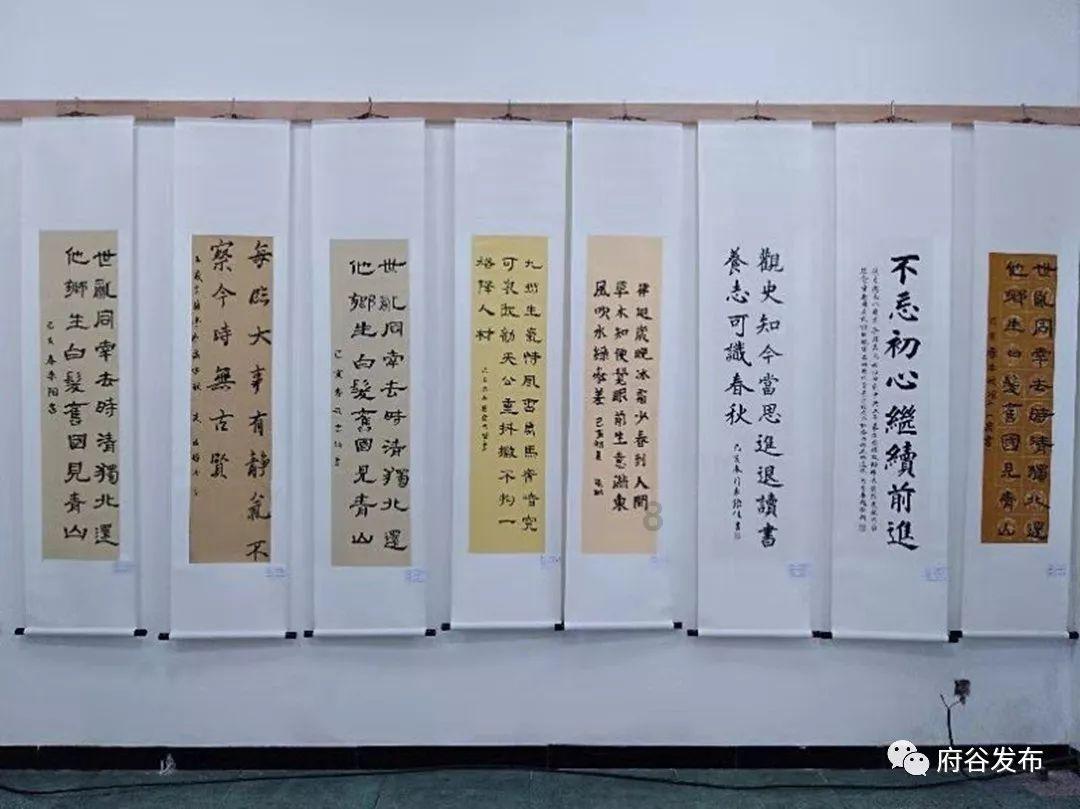 属猪终身幸运色 属猪2024最旺的颜色